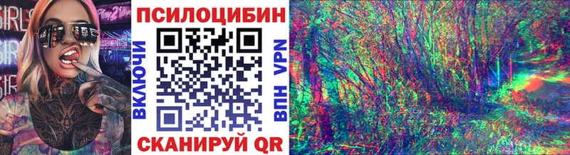 omg tor  Нерчинск  Псилоцибиновые грибы ЛСД 