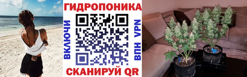 дарнет шоп  Нерчинск  Шишки марихуана индика 